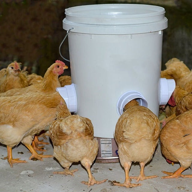 Owronline - DIY Chicken Feeder - owronline