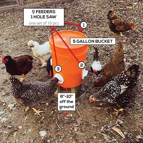 Owronline - DIY Chicken Feeder - owronline