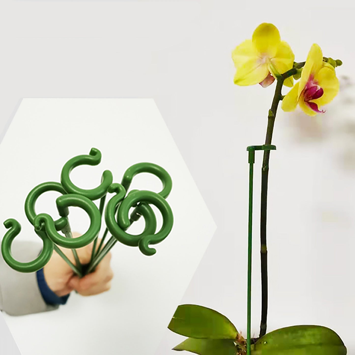 Owronline - Plant Supports Flower Stand Reusable Tool Gardening