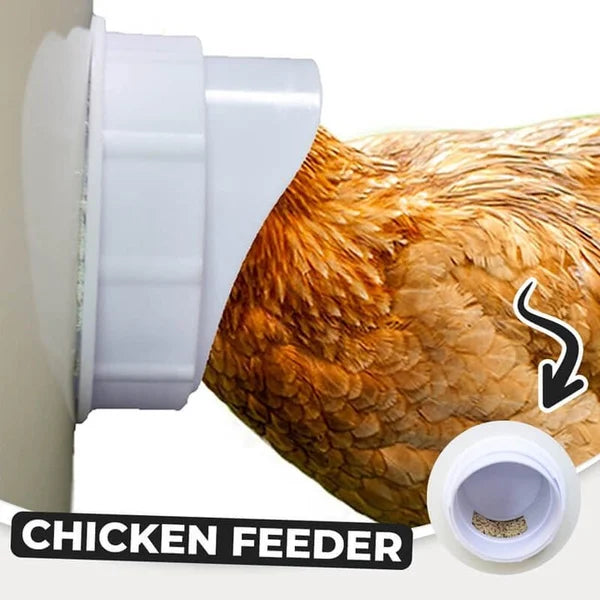 Owronline - DIY Chicken Feeder - owronline