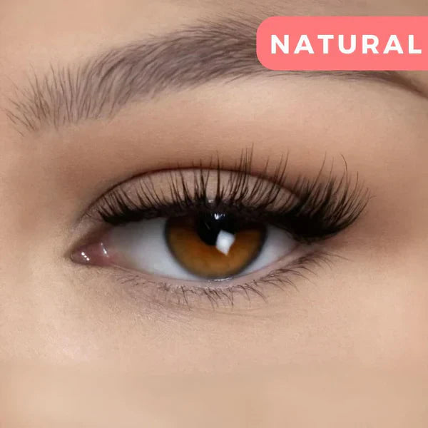 magnetic lash