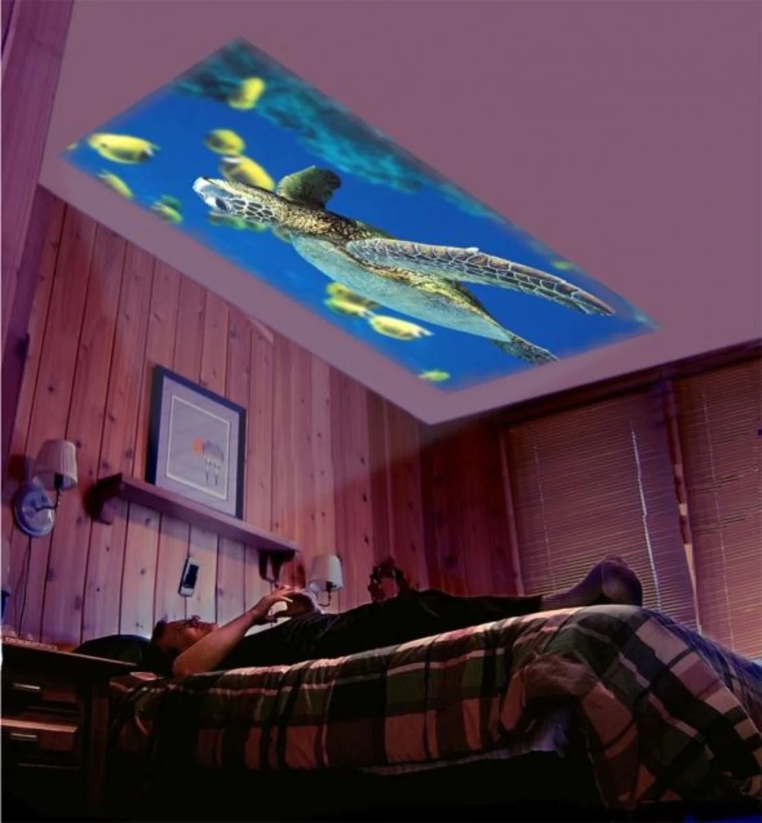 Owronline - Mini Projector - owronline