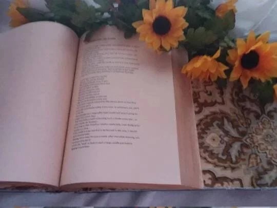 Owronline - DELUXE Charmed BOOK OF SHADOWS