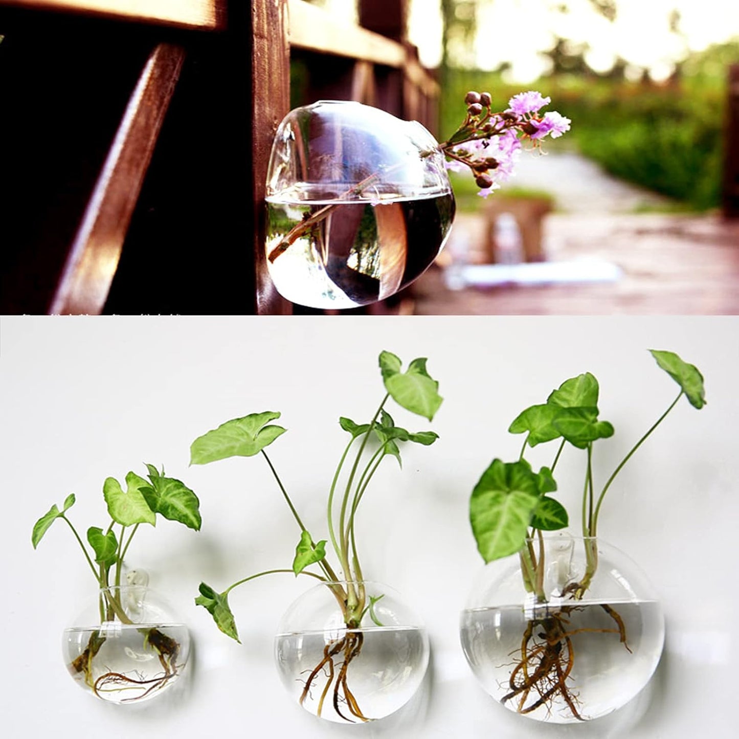 Owronline - Glass Oblate Globe Plants Containers Wall Mount Clear Flower Vase