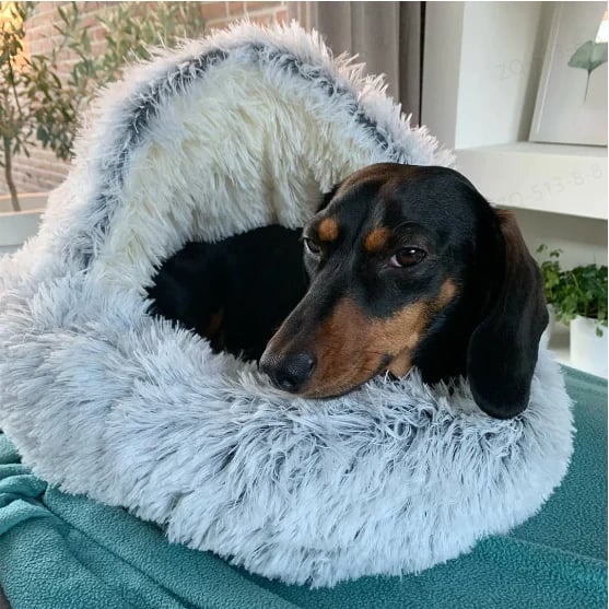 Owronline - Plush bed for dogs & cats