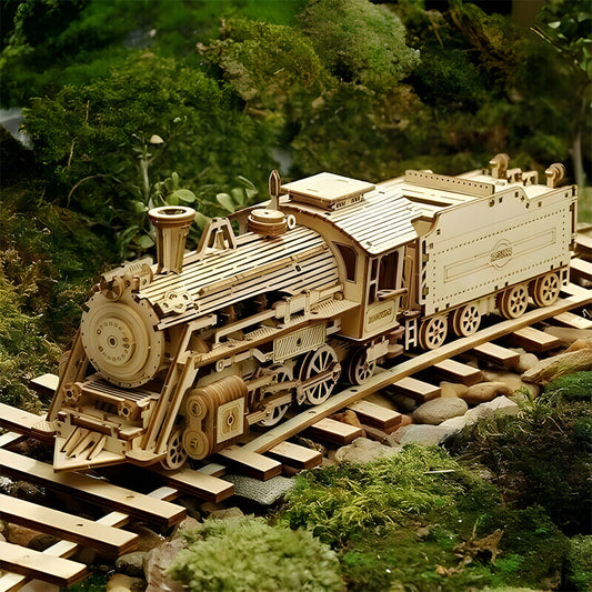 OWRONLINE - Super Wooden Mechanical Model Puzzle Set