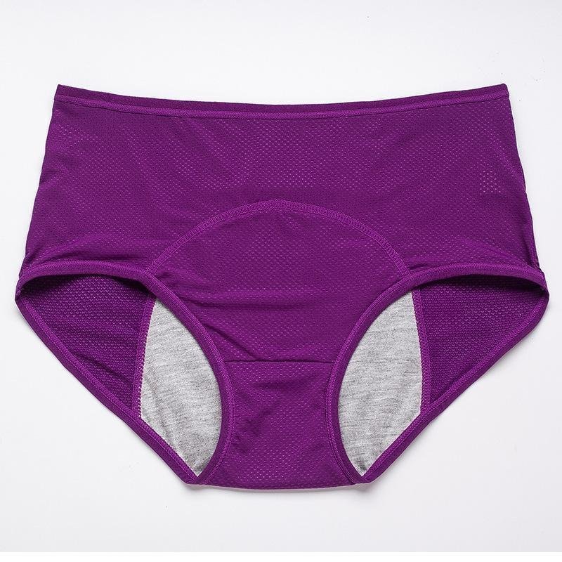 Owronline - High Waist Leakproof Panties