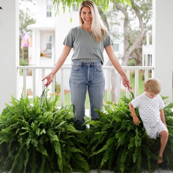 💥This Week's Special Price $18.98🌱UV Resistant Lifelike Artificial Boston Fern - naotstore