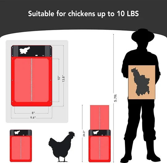 🎉This week's specials - Automatic Chicken Coop Door - naotstore