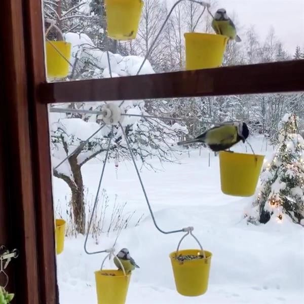 Owronline - Ferris Wheel Bird Feeder