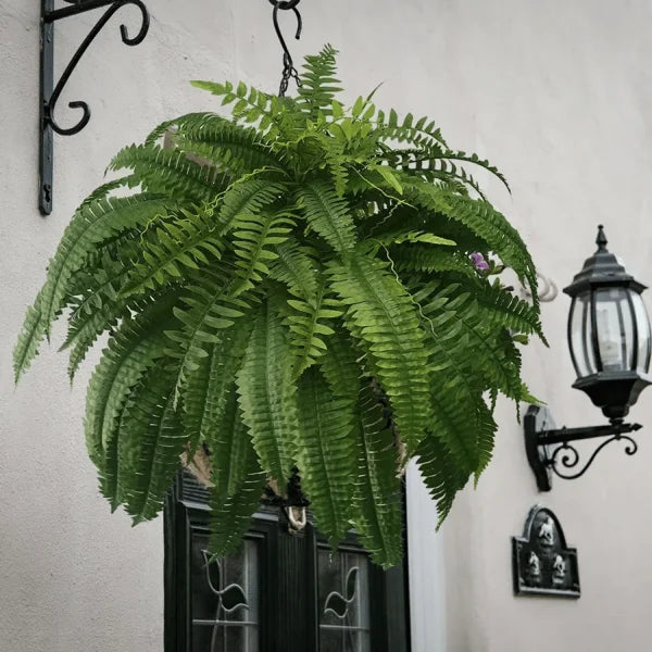 💥This Week's Special Price $18.98🌱UV Resistant Lifelike Artificial Boston Fern - naotstore