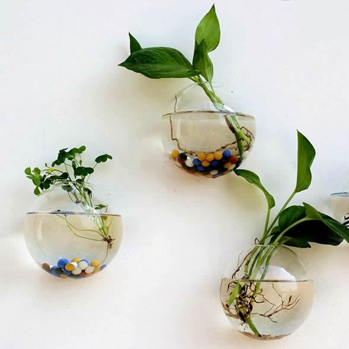 Owronline - Glass Oblate Globe Plants Containers Wall Mount Clear Flower Vase