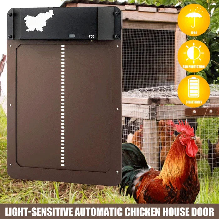 🎉This week's specials - Automatic Chicken Coop Door - naotstore