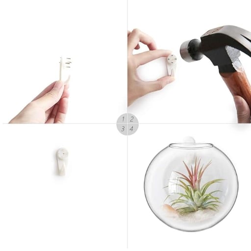 Owronline - Glass Oblate Globe Plants Containers Wall Mount Clear Flower Vase