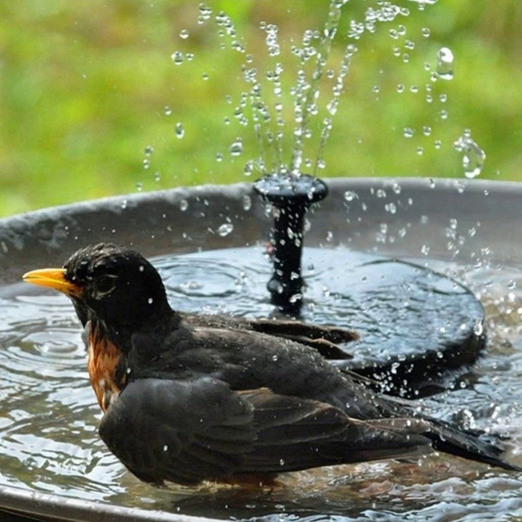 💥This month's hottest items - FreeSolar Garden Fountain - naotstore